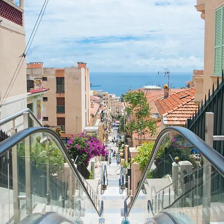 Margot * בוסוליי