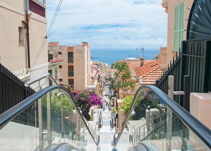 Margot * 보솔레이